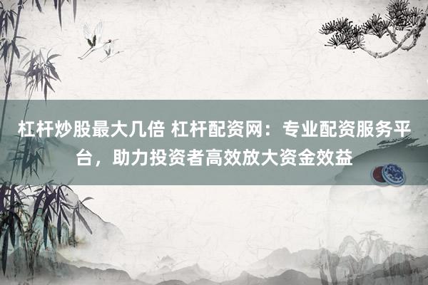 杠杆炒股最大几倍 杠杆配资网：专业配资服务平台，助力投资者高效放大资金效益