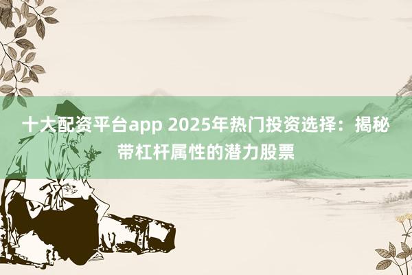 十大配资平台app 2025年热门投资选择：揭秘带杠杆属性的潜力股票