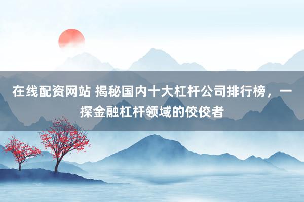 在线配资网站 揭秘国内十大杠杆公司排行榜，一探金融杠杆领域的佼佼者