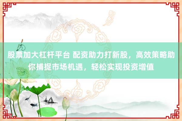 股票加大杠杆平台 配资助力打新股，高效策略助你捕捉市场机遇，轻松实现投资增值