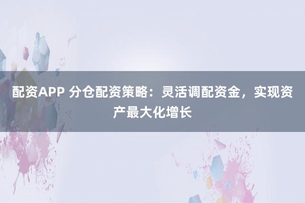 配资APP 分仓配资策略：灵活调配资金，实现资产最大化增长
